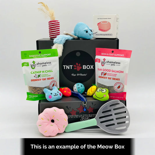 Toys N Treats Gift Boxes