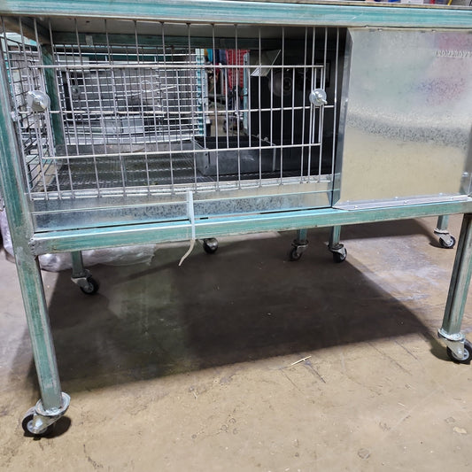 electric booster 50 chicks - criadora