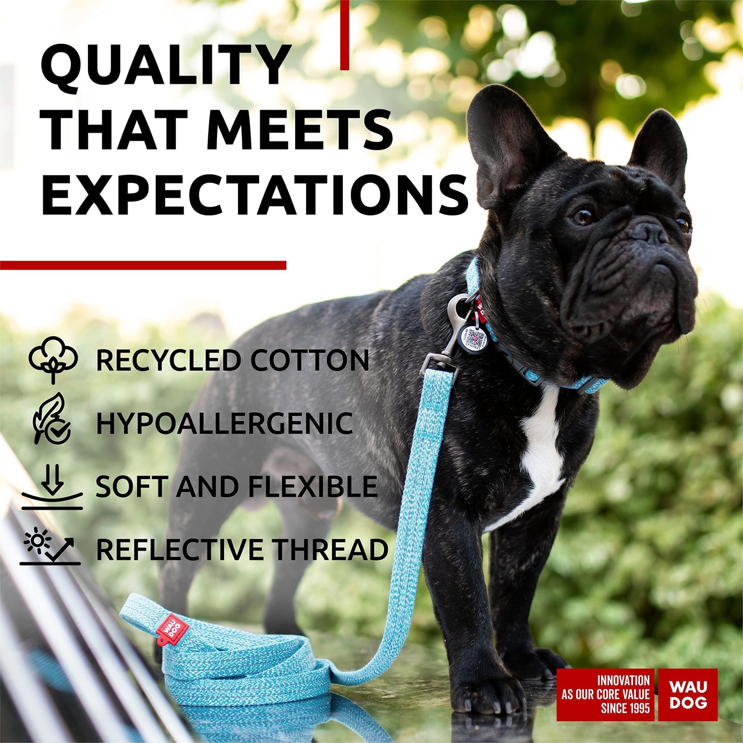 Recycled Cotton Dog Leash 6 Ft   10 Ft Eco Friendly Collar for Small Medium & Large Dogs   Reflective Dog Leash for Medium Dogs   Strong Leashes for Large Breed Dogs Puppy Leash for Small Dogs