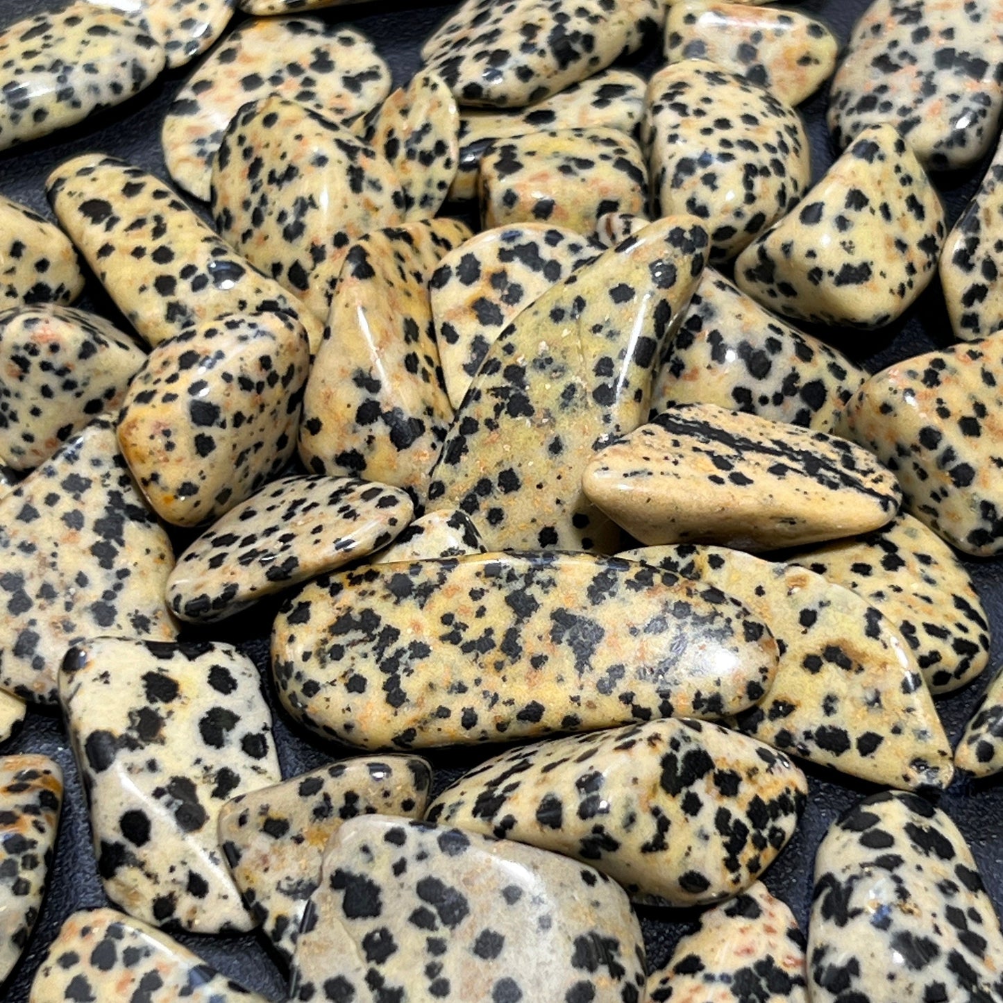 Spotted Dalmatian Jasper Tumbled Stones (By The Piece Or Pound) Wholesale