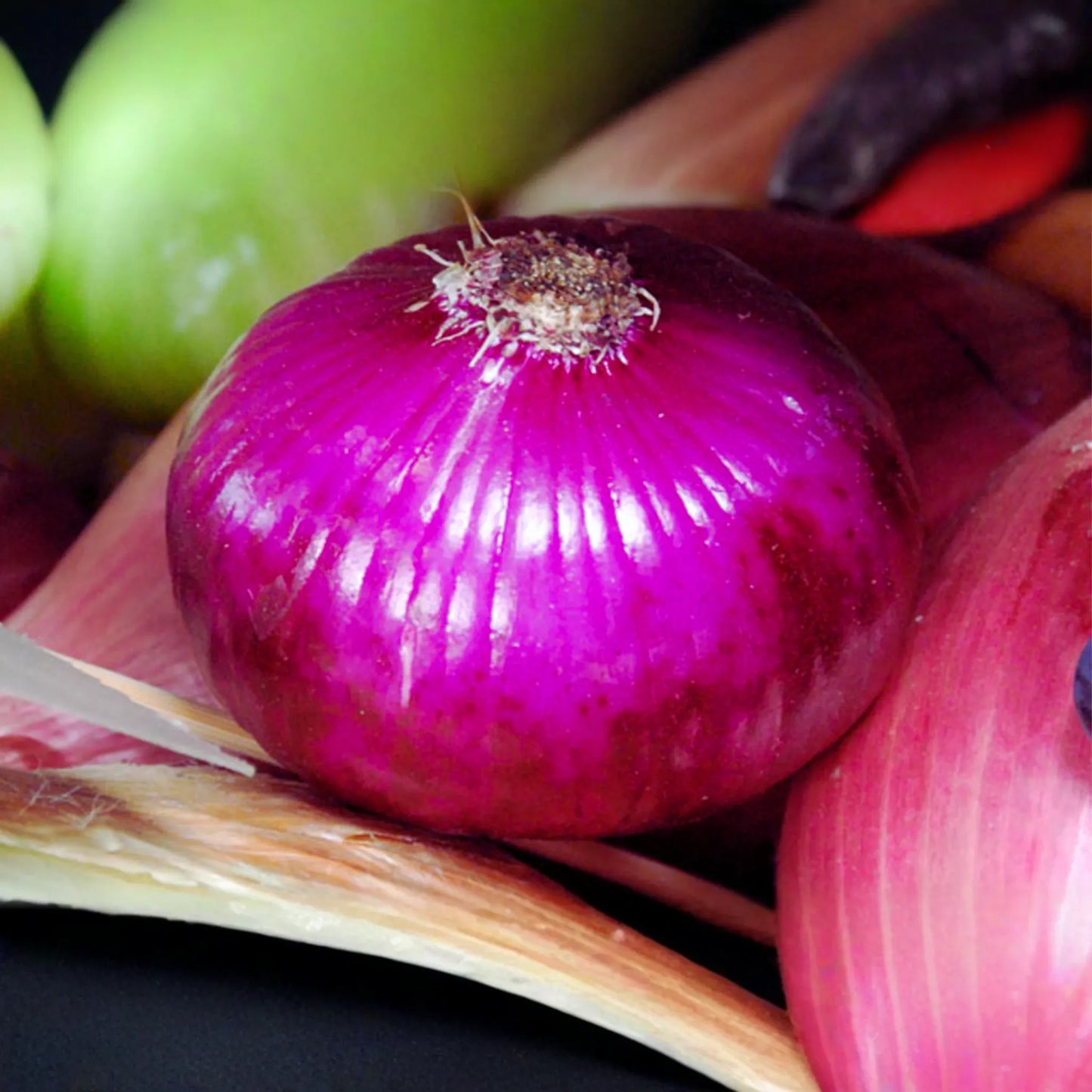 Flat Red Cipollini Onion Seeds - Italian Red Marble Variety - Perfect for Home Gardens - Allium cepa