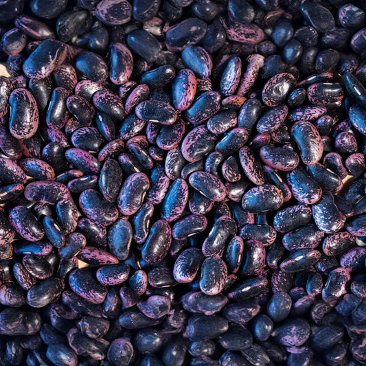 Runner Bean Seeds | Flat Bean Variety | Scarlet Runner | Phaseolus coccineus