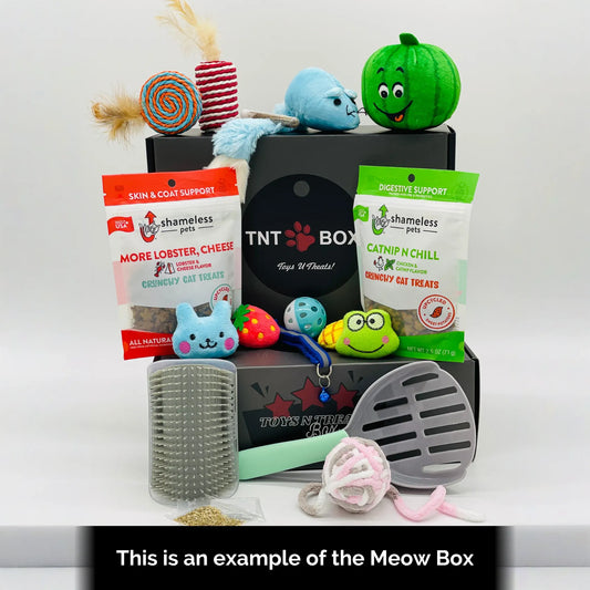 Toys N Treats Gift Boxes