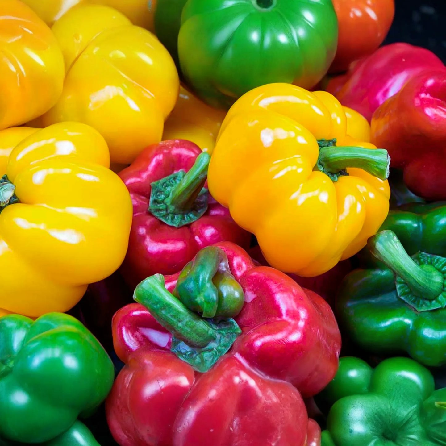 California Wonder Sweet Bell Pepper Seeds | NON-GMO | Heirloom Variety | Capsicum annuum