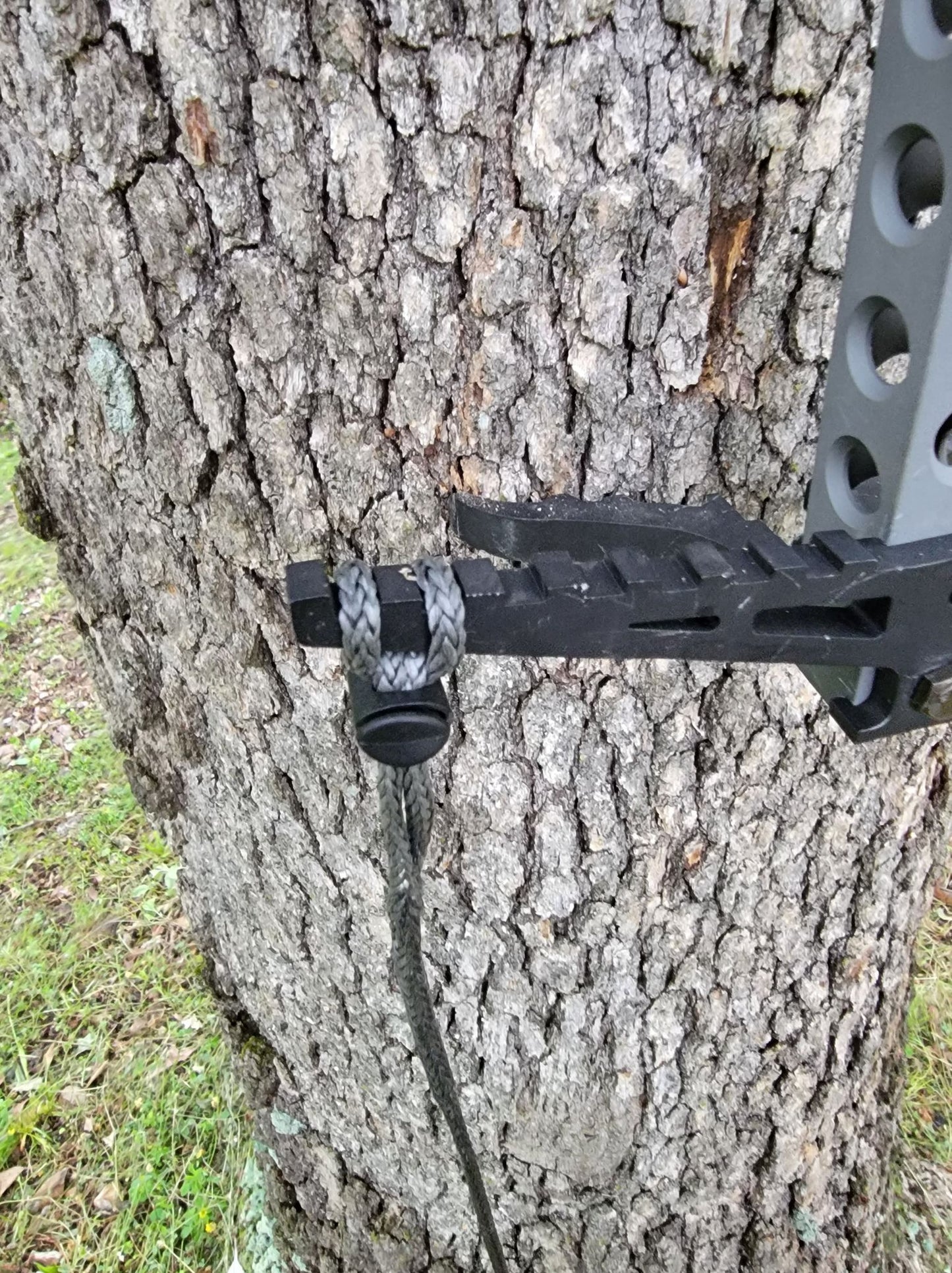 Beast Stick AmSteel® Aider
