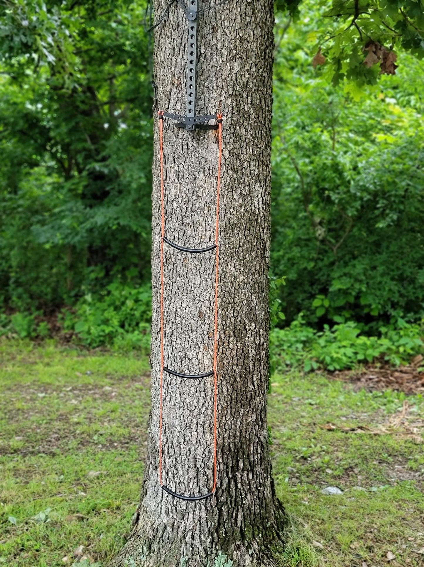 Beast Stick AmSteel® Aider