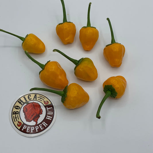 Yellow Hinkelhatz Pepper - Seeds