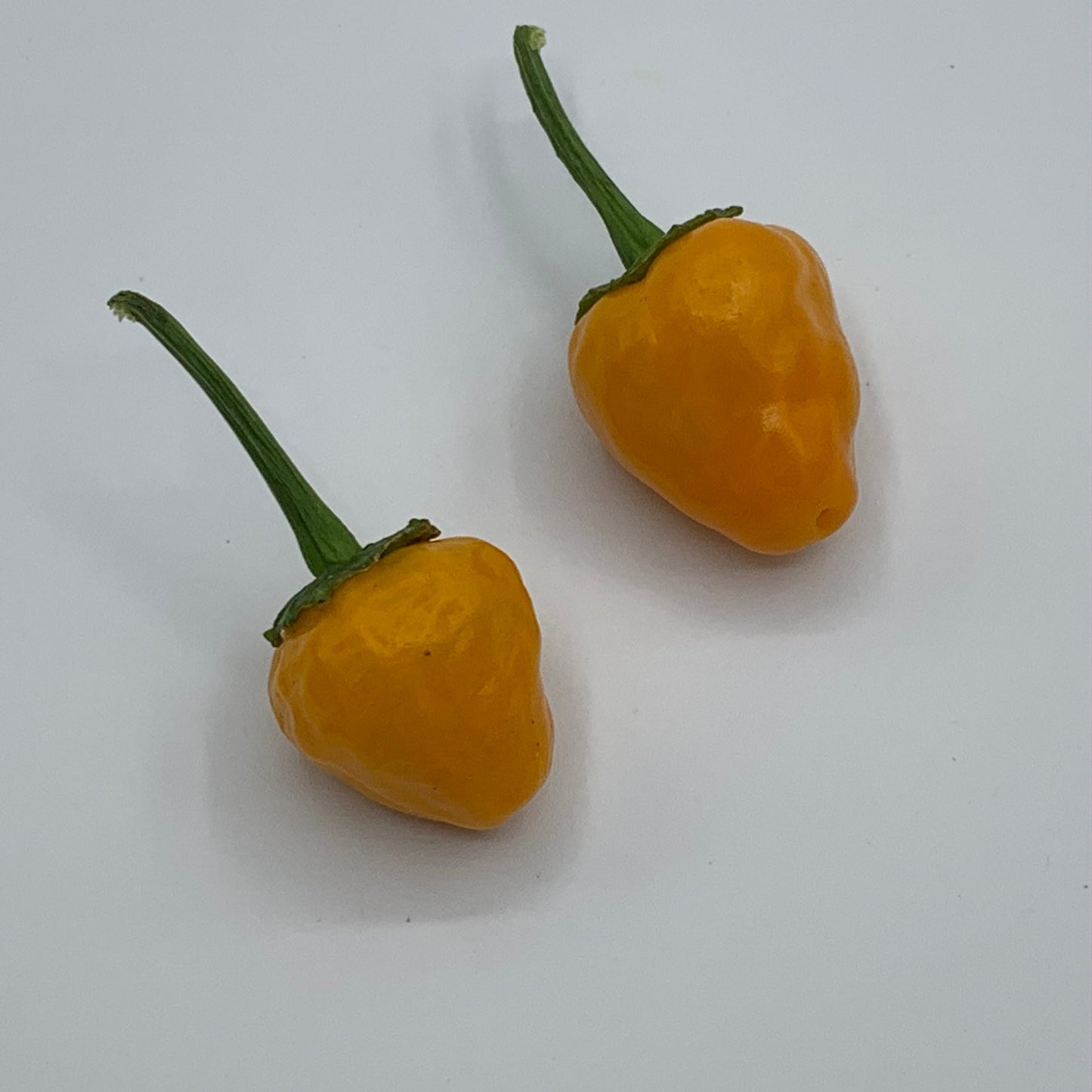 Yellow Hinkelhatz Pepper - Seeds