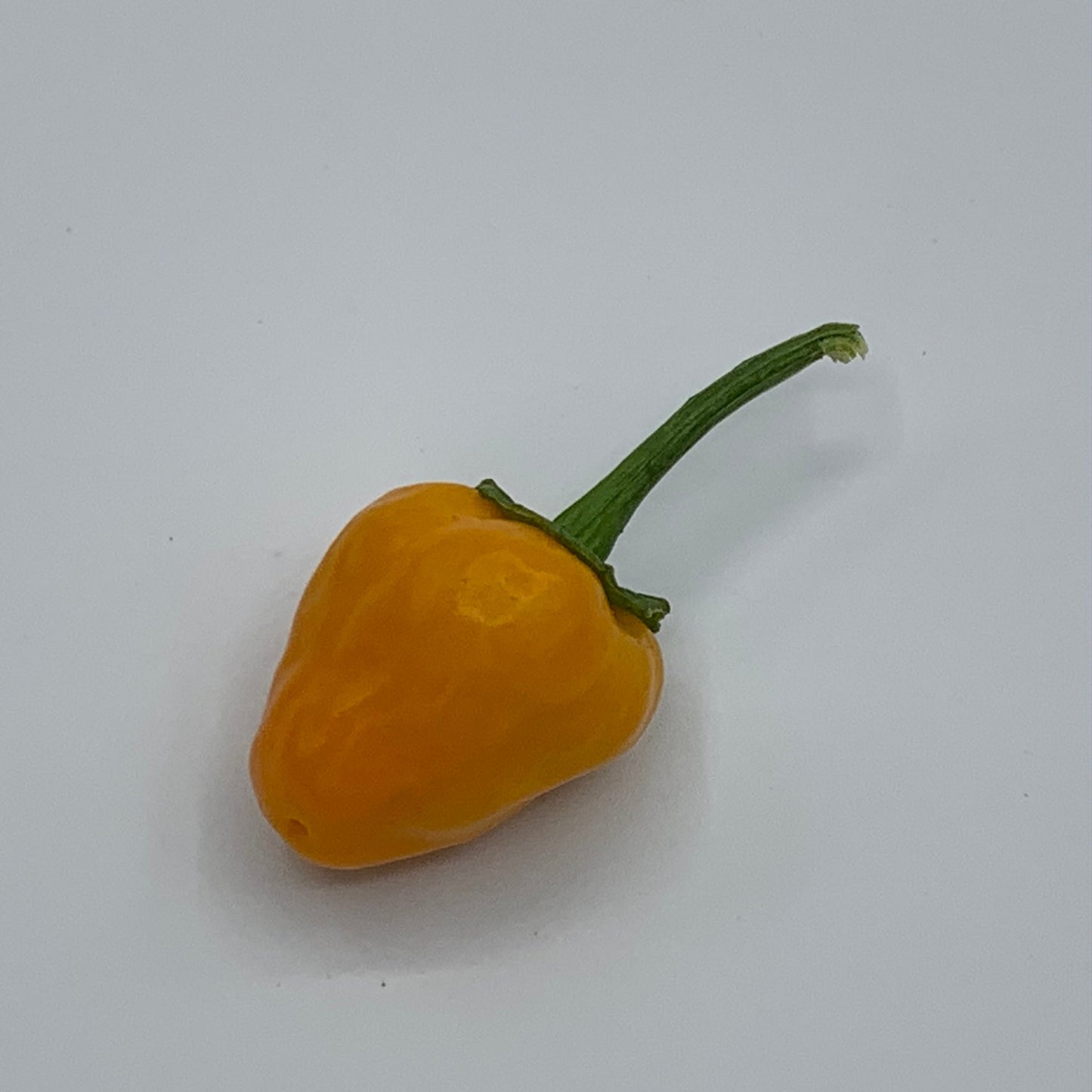 Yellow Hinkelhatz Pepper - Seeds