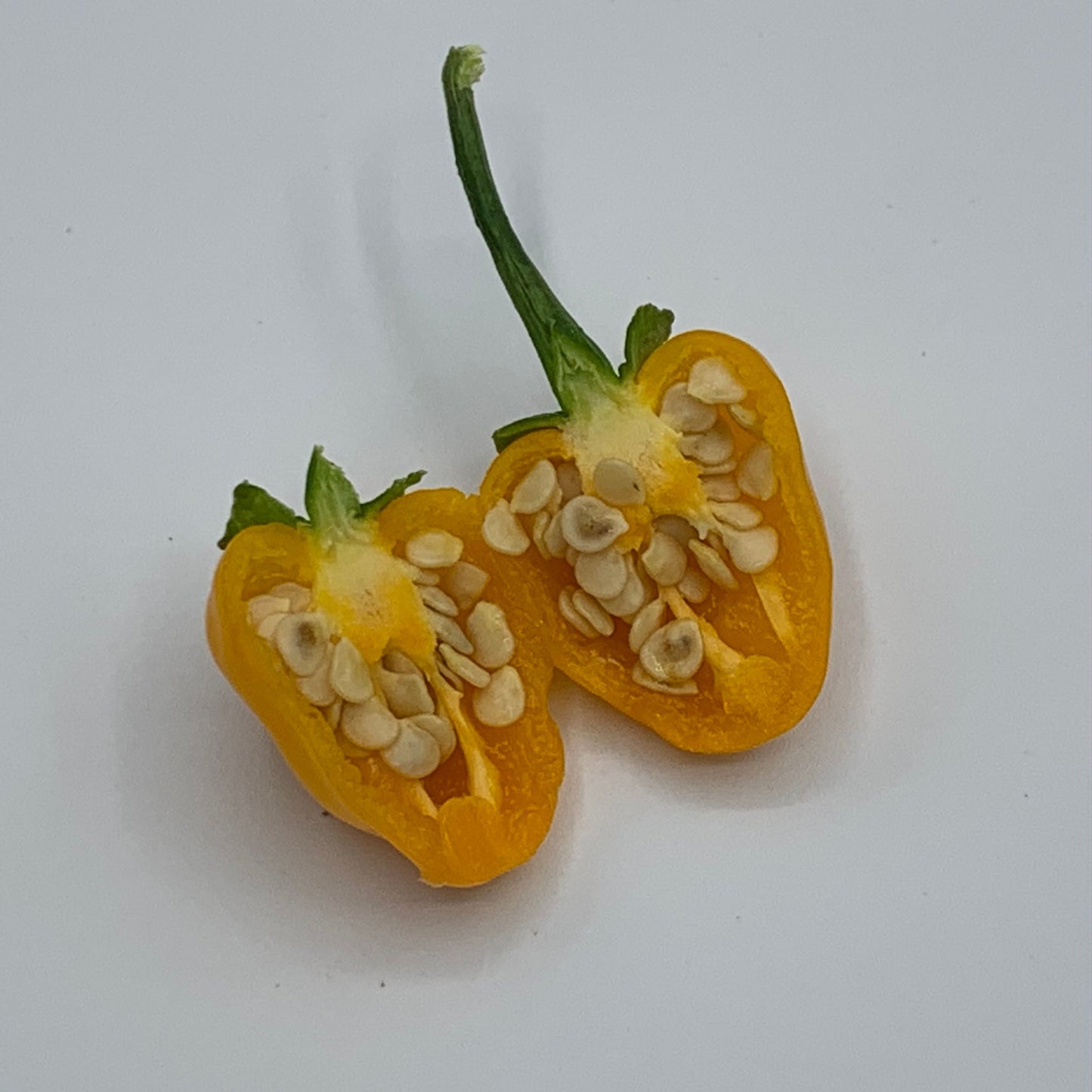 Yellow Hinkelhatz Pepper - Seeds