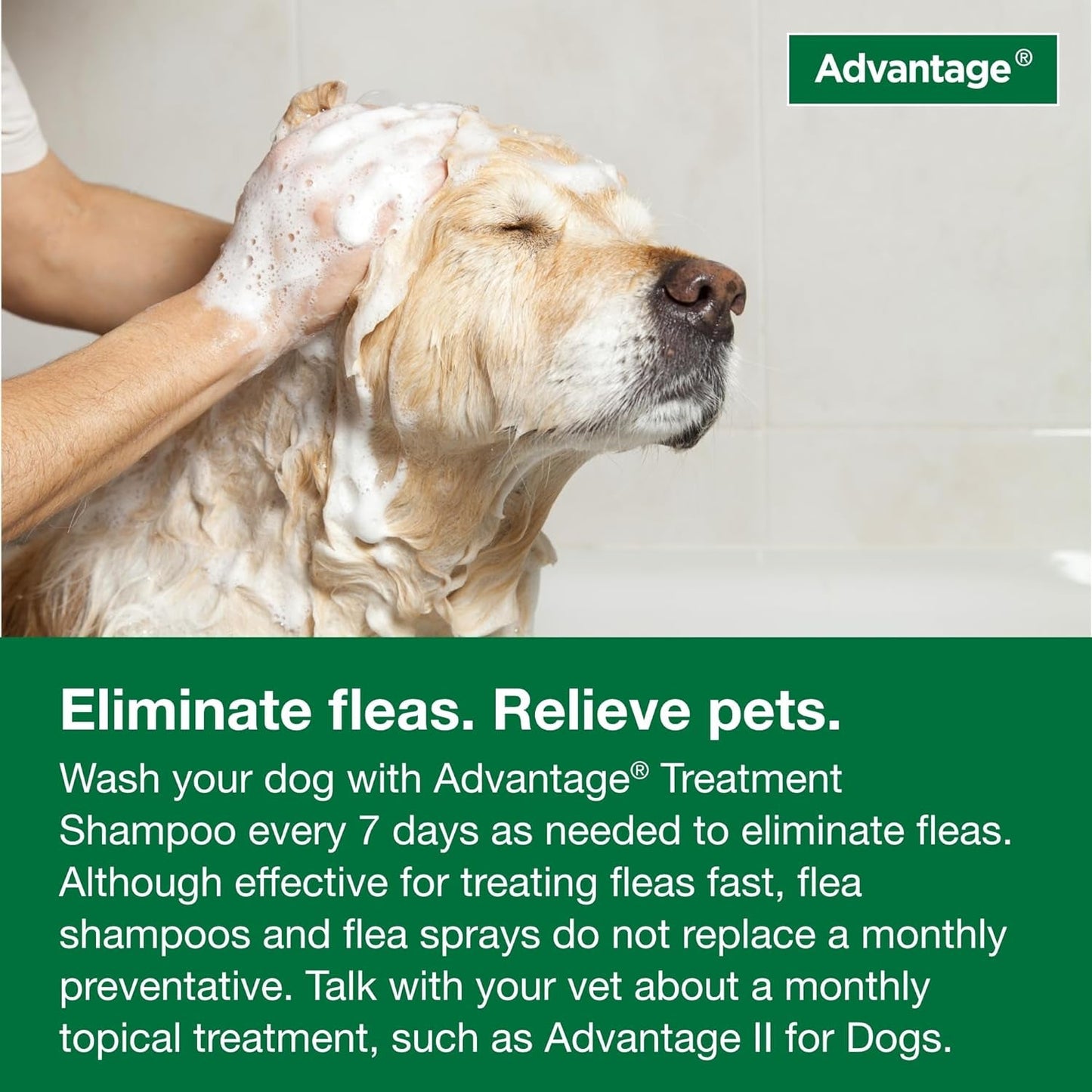 12 Oz Flea & Tick Shampoo for Puppies & Adult Dogs .