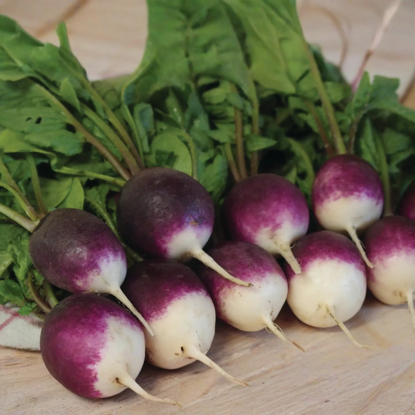 Purple Plum Radish Seeds - 200 Seeds - Purple Skin White Flesh - Raphanus sativus