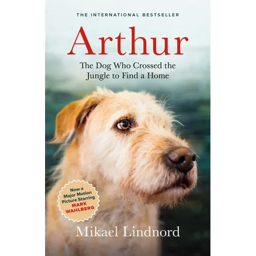 Arthur: The Dog Who Crossed the Jungle to Find a Home