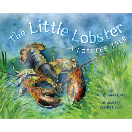 The Little Lobster