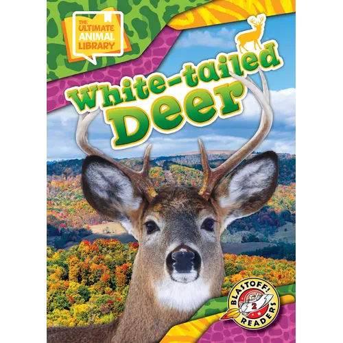 White-Tailed Deer