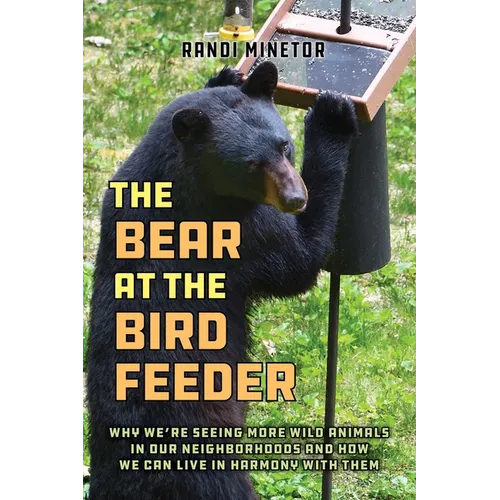 The Bear at the Bird Feeder
