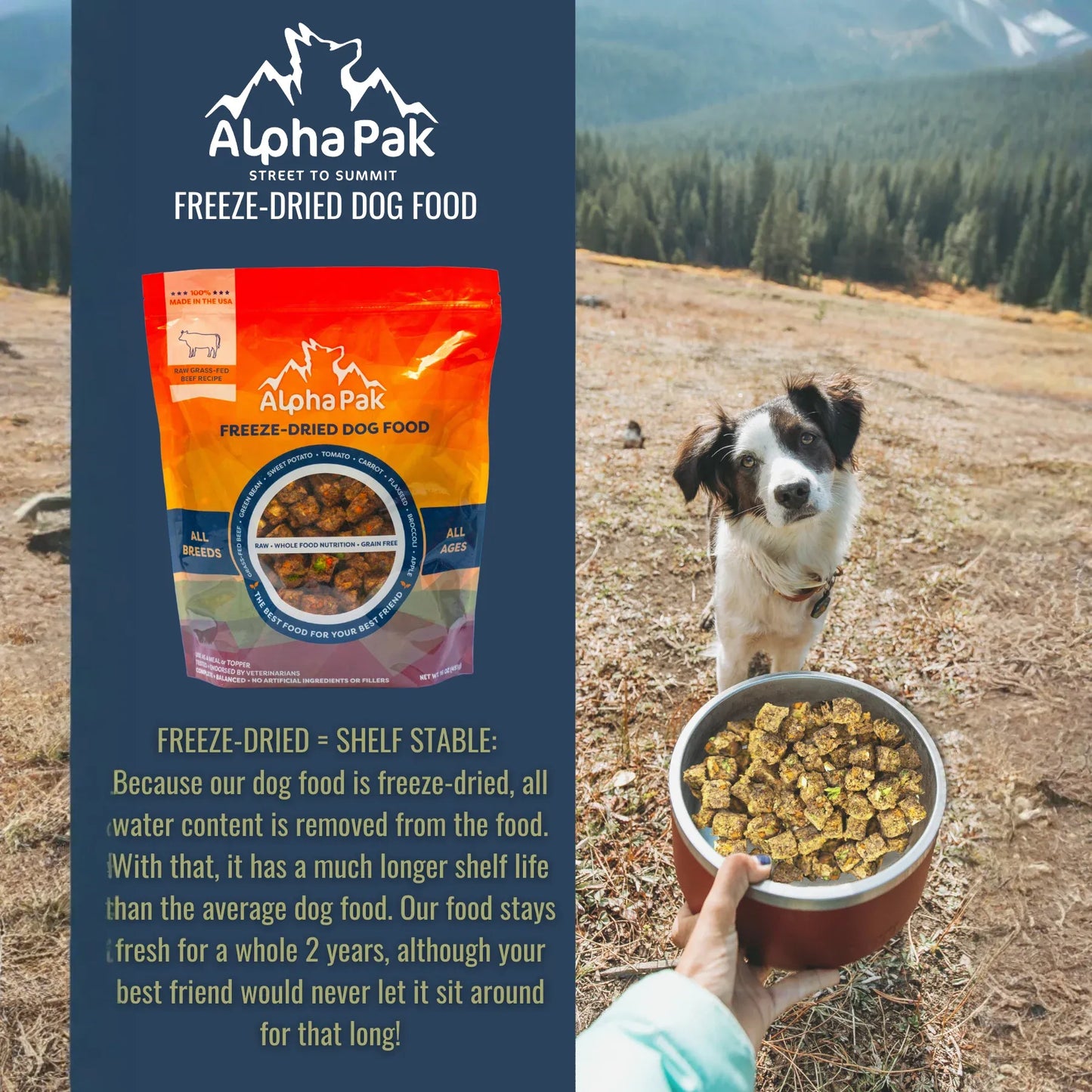 PREMIUM RAW FREEZE DRIED DOG FOOD