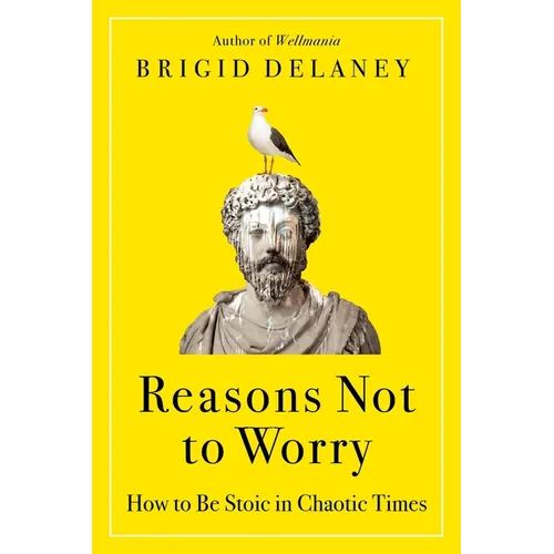 Reasons Not to Worry: How to Be Stoic in Chaotic Times
