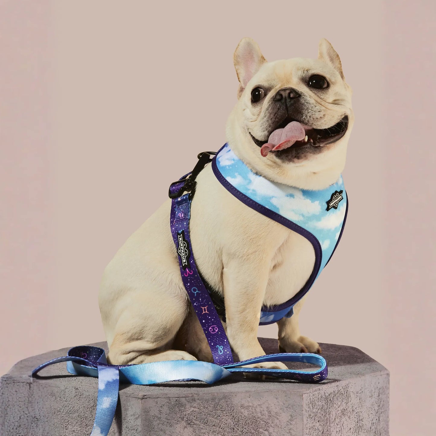 Zodiac Drip Dog Leash