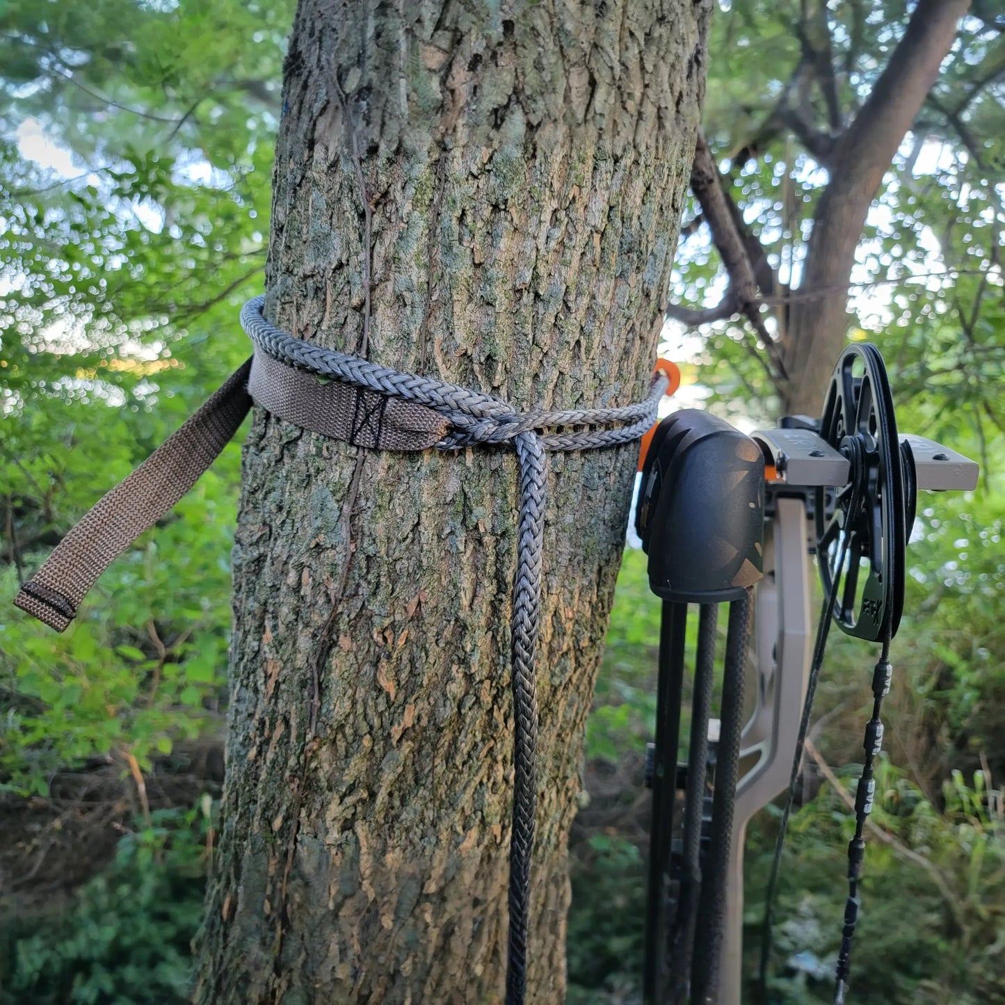 1/4" AmSteel Tether with Tether Bow Hanger WEBBING Package