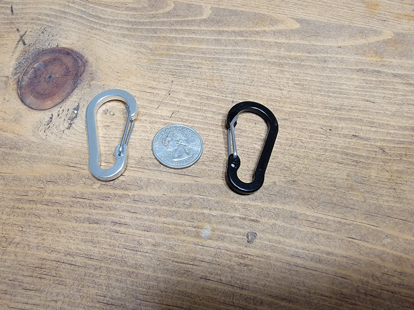 2" Mini Wire Gate Carabiner