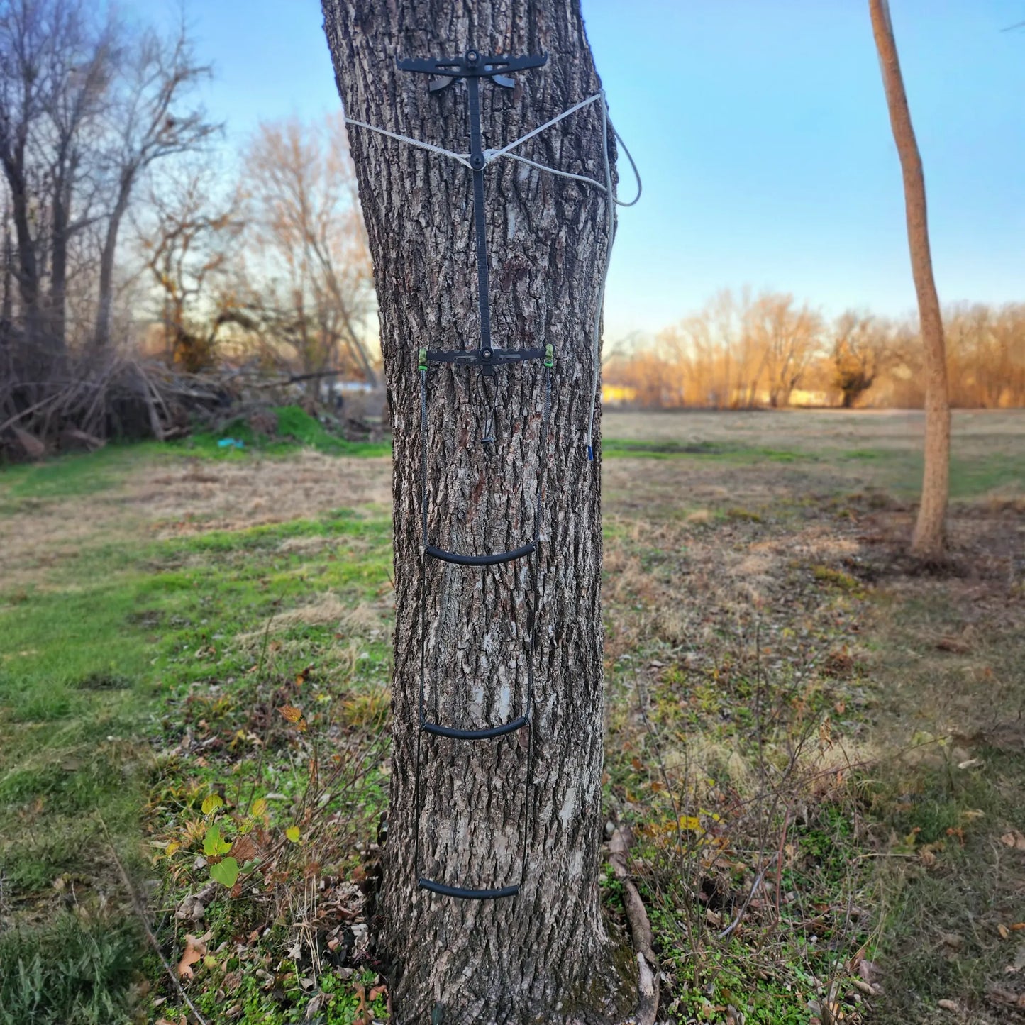 Shikar Stick AmSteel® Aider