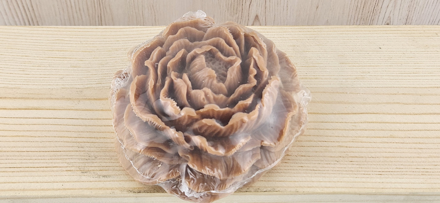 Banana Nut Bread Peony Flower