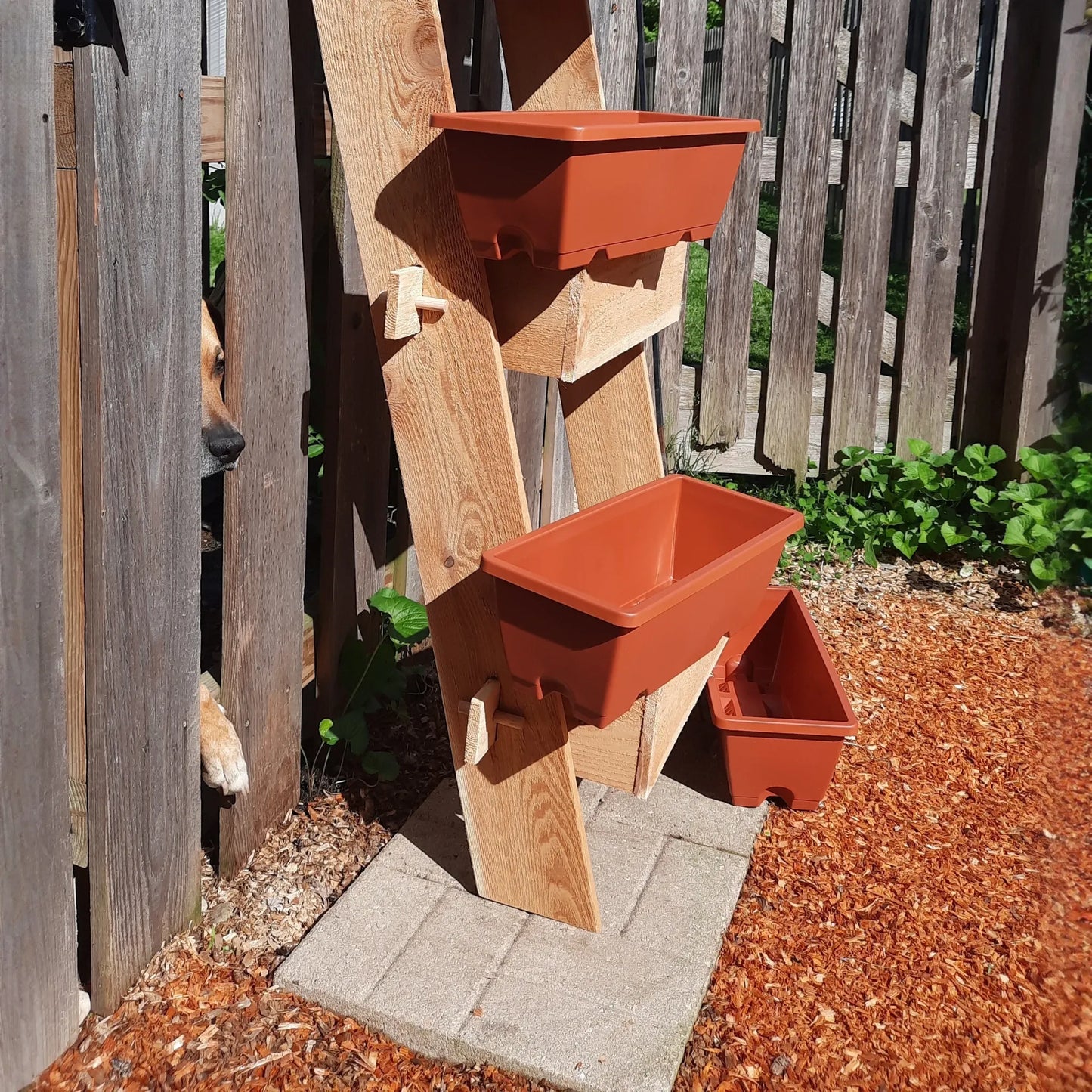 2-Tier Vertical Cedar Ladder Planter Box for Small Spaces