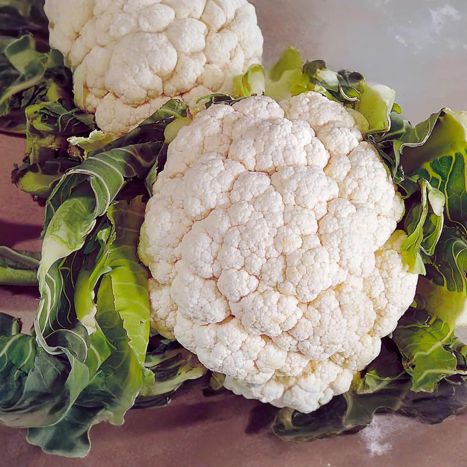 Cauliflower Seeds - Snowball Y Improved - White Variety - Brassica oleracea