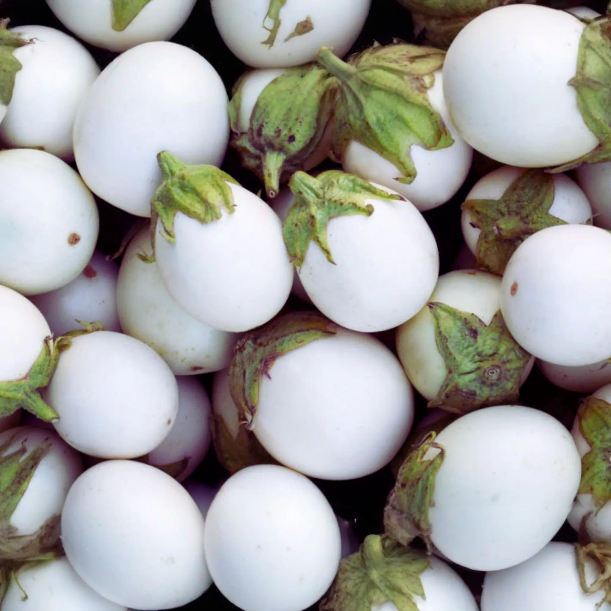 Small White Egg Eggplant Seeds, Thai/Easter Variety, Solanum melongena - Vegetable Seeds for Home Garden