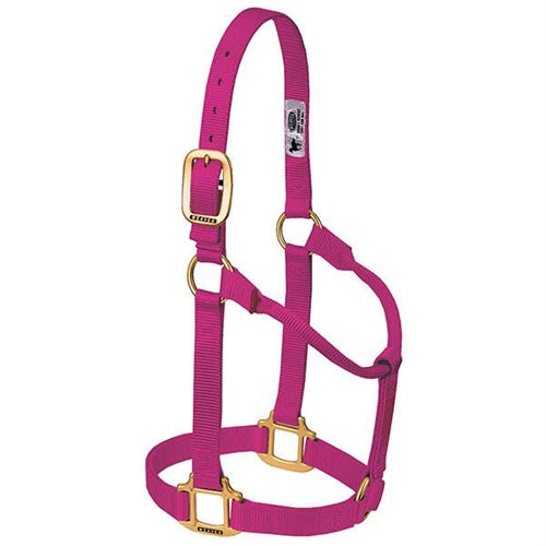 Original Non-Adjustable Halter 1" - Large Raspberry