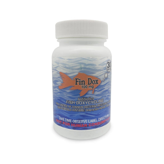 Fish Dox 100mg Capsules for Aquarium Fish – 30 Count – Water Care Support