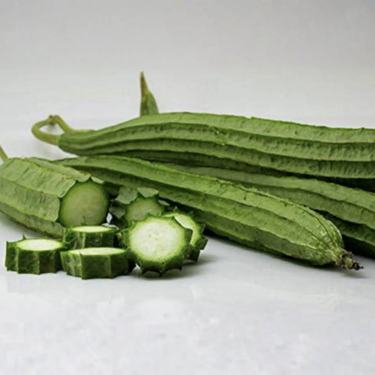Ridged Sponge Gourd Seeds - Chinese Okra Angled Luffa Gourd - Big Flesh - Sigua Seeds