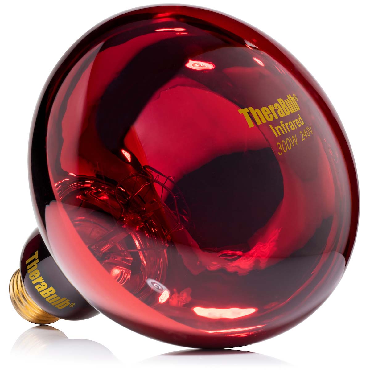 Near Infrared Bulb - 300 Watt  (240 Volt for Europe, Asia, Africa, Oceania)