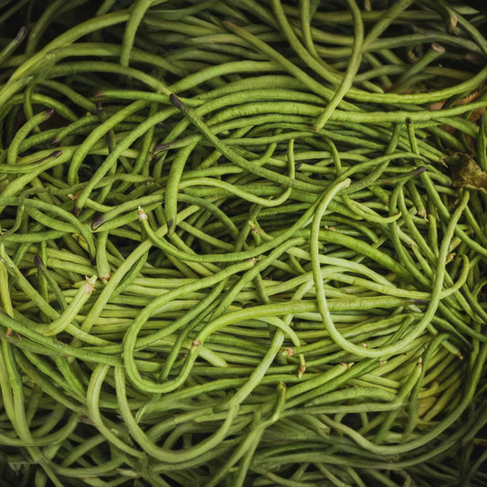 Yardlong Bean Seeds, Dark Green, Asparagus Bean, Snake Bean, Chinese Long Bean, Vigna unguiculata subsp. sesquipedalis