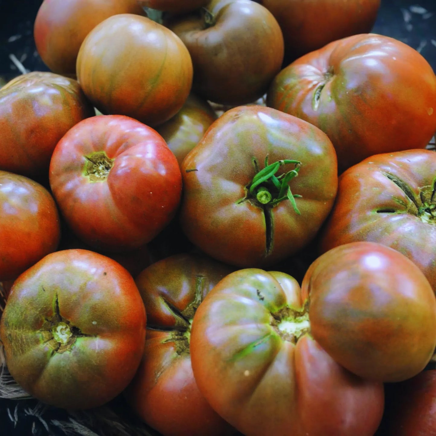 Cherokee Purple Tomato Seeds | Non-GMO Heirloom | Solanum lycopersicum | Organic Gardening