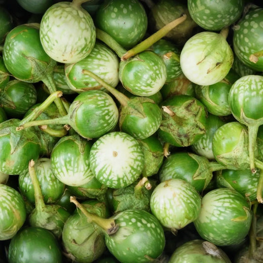 Eggplant Seeds | Green Thai & Petch Siam Varieties | NON-GMO, Heirloom, Organic