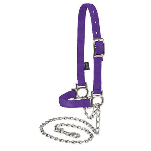 Nylon Adjustable Sheep Halter with Chain Lead