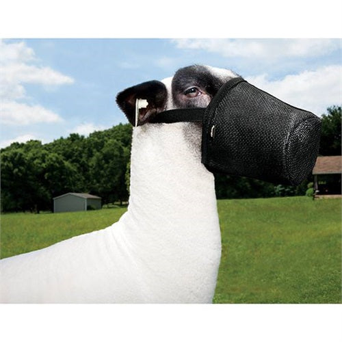 Sheep/Goat Muzzle - Small