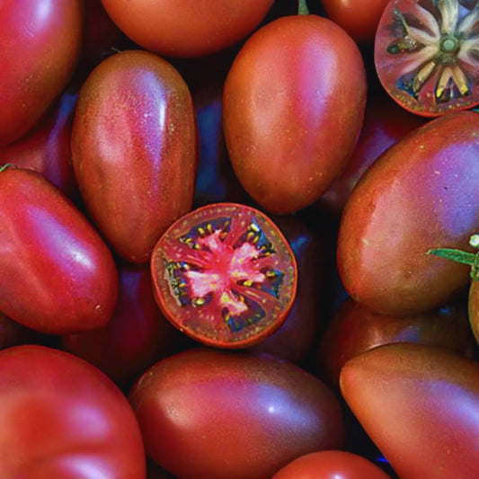 Ukrainian Purple Tomato Seeds, Super Sweet Grape Variety, NON-GMO, Heirloom, Solanum lycopersicum