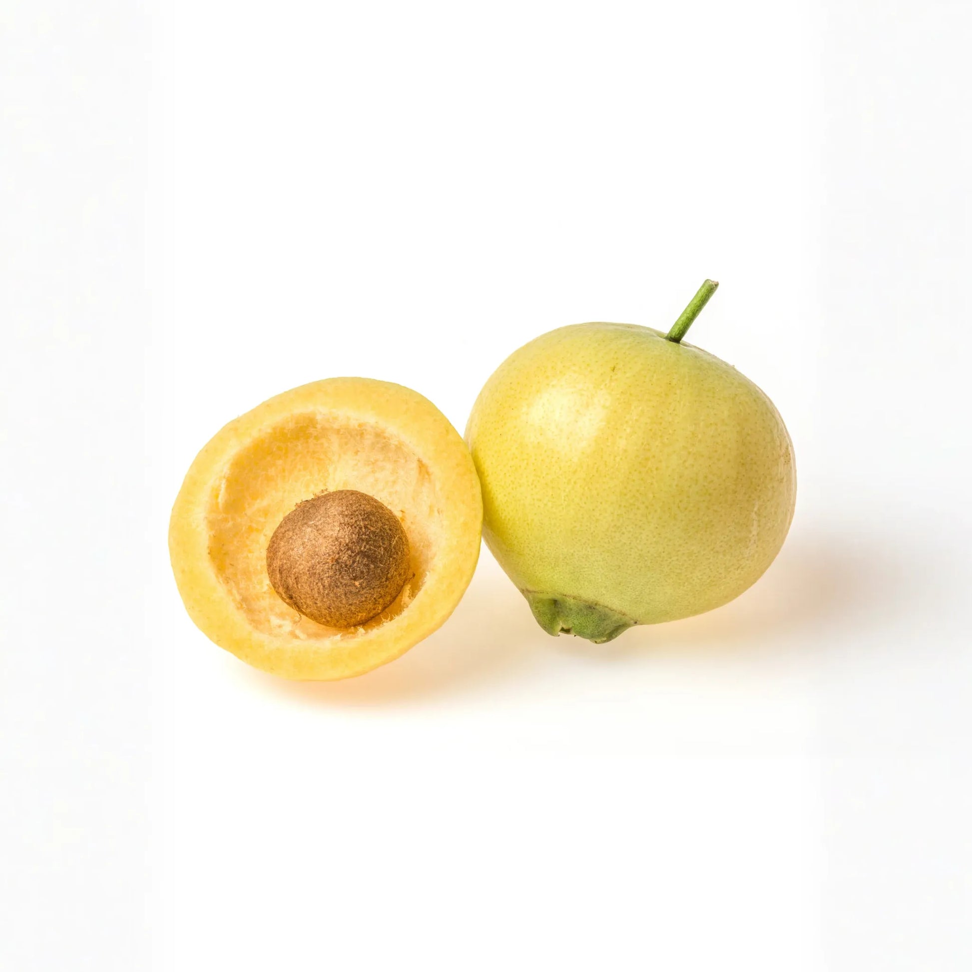 Rose Apple (Syzygium jambos)