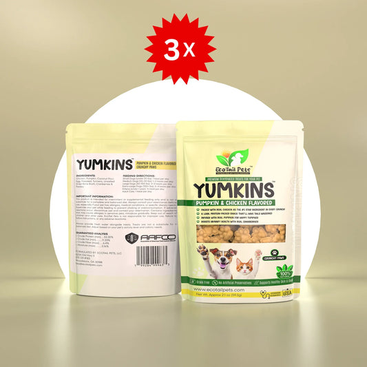 𝗦𝗨𝗕𝗦𝗖𝗥𝗜𝗣𝗧𝗜𝗢𝗡 • Yumkins™: 3 x (2.1oz) Pumpkin & Chicken Flavored Crunchy Paws – Bundle
