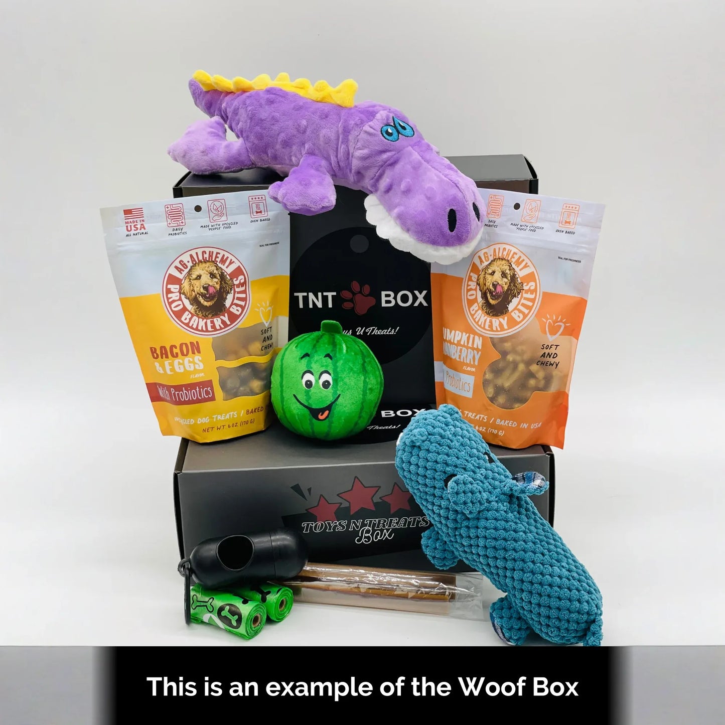 Toys N Treats Gift Boxes