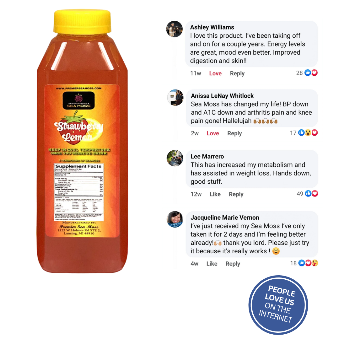 Sea Moss Lemonade - 12 oz