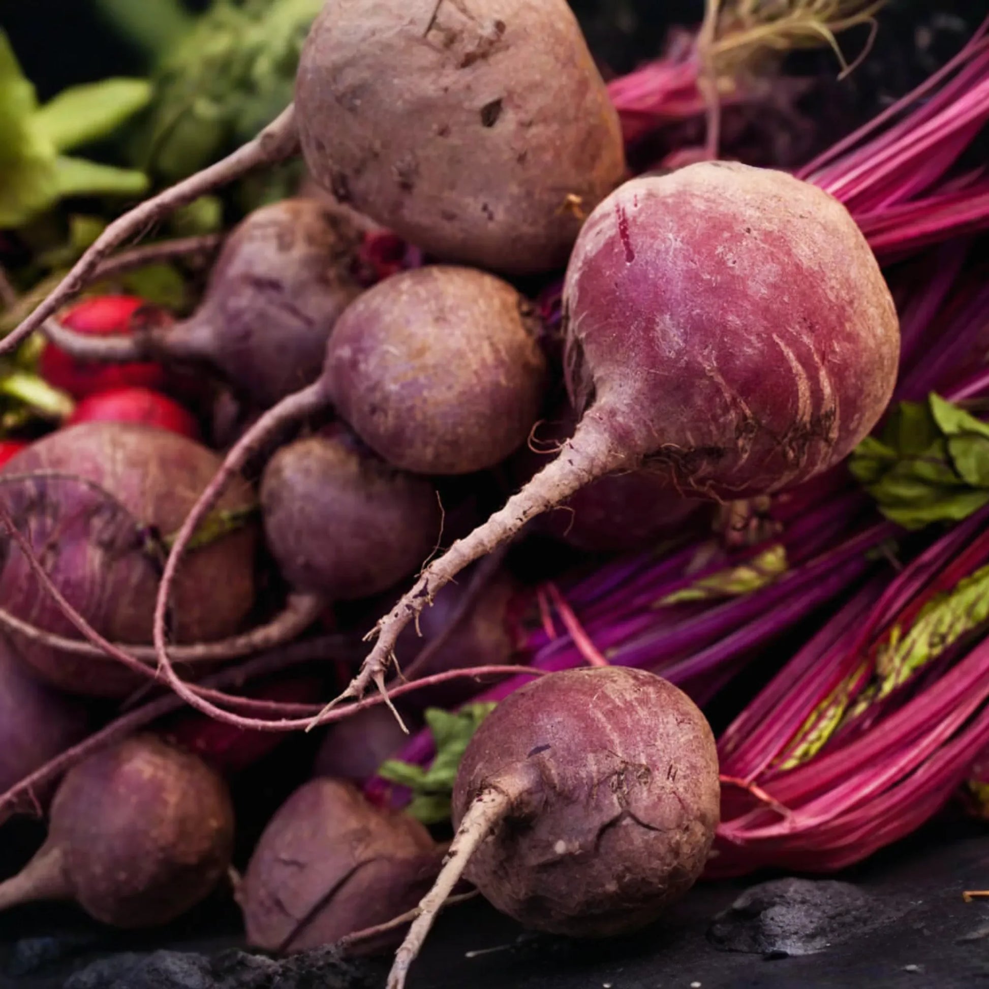 Detroit Dark Red Beet Seeds | Early Dark Red | NON-GMO Vegetable Seeds | Beta vulgaris