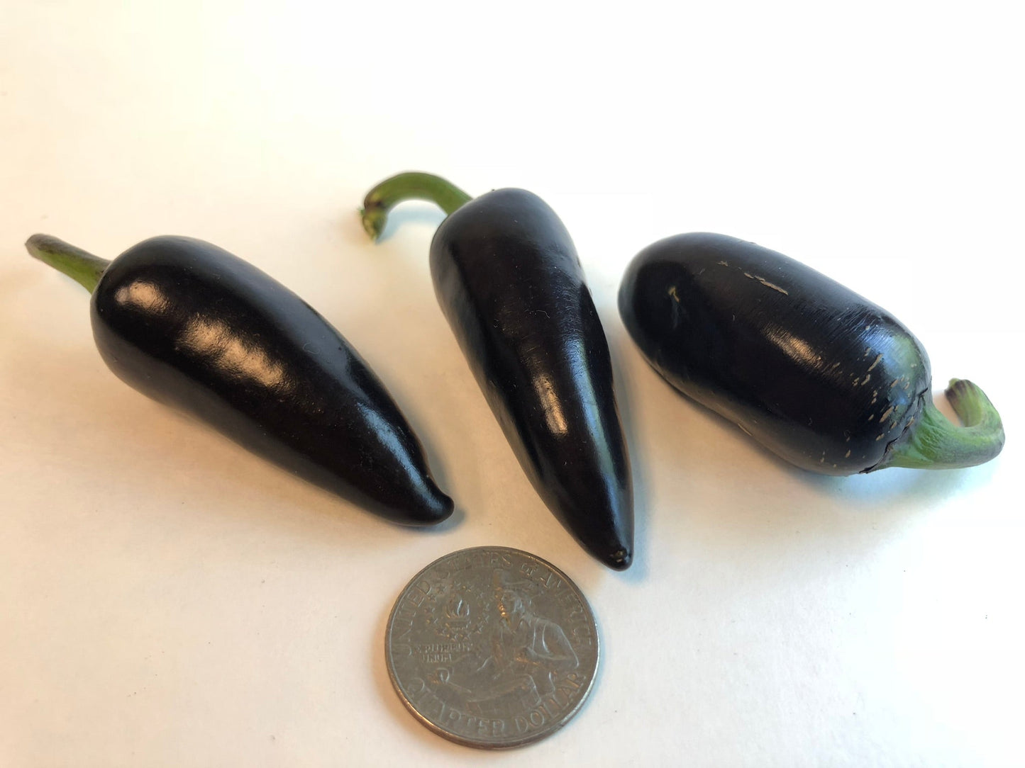 Purple Jalapeno Pepper - Seeds