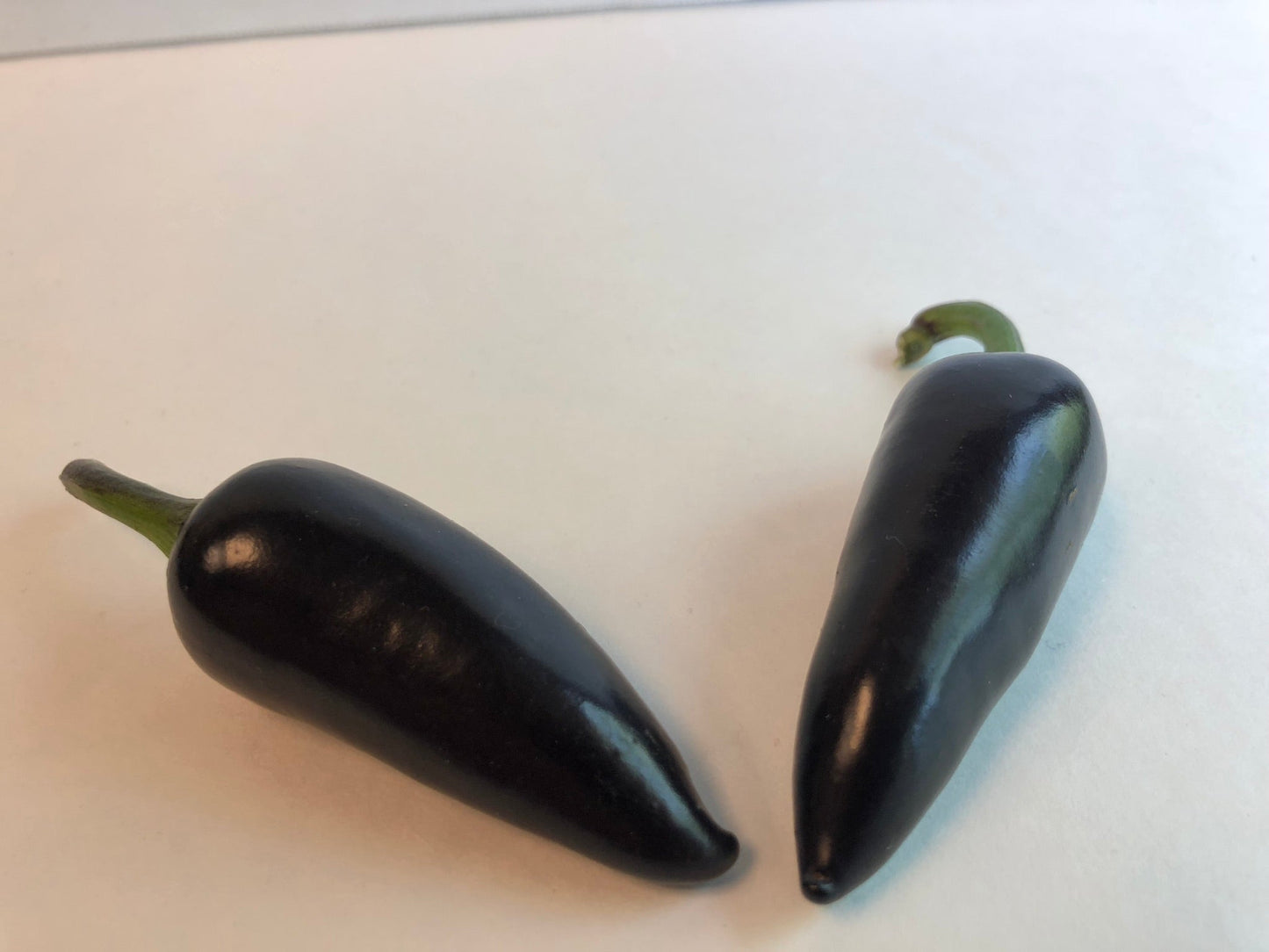 Purple Jalapeno Pepper - Seeds