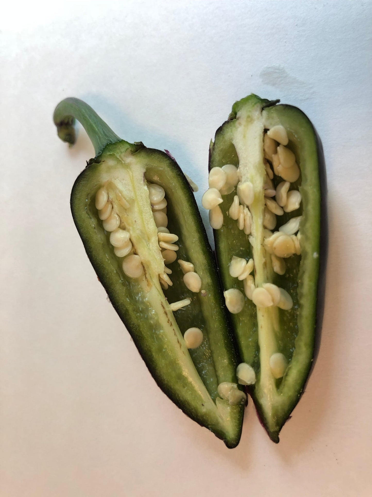 Purple Jalapeno Pepper - Seeds