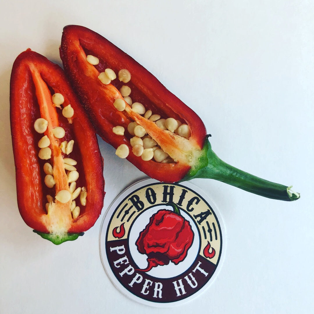 Purple Jalapeno Pepper - Seeds