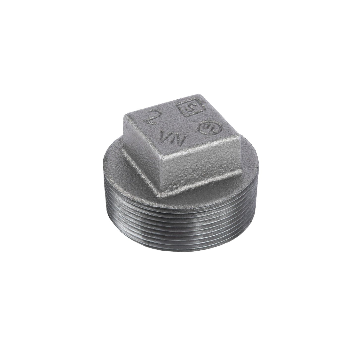 2 in. Black Plug